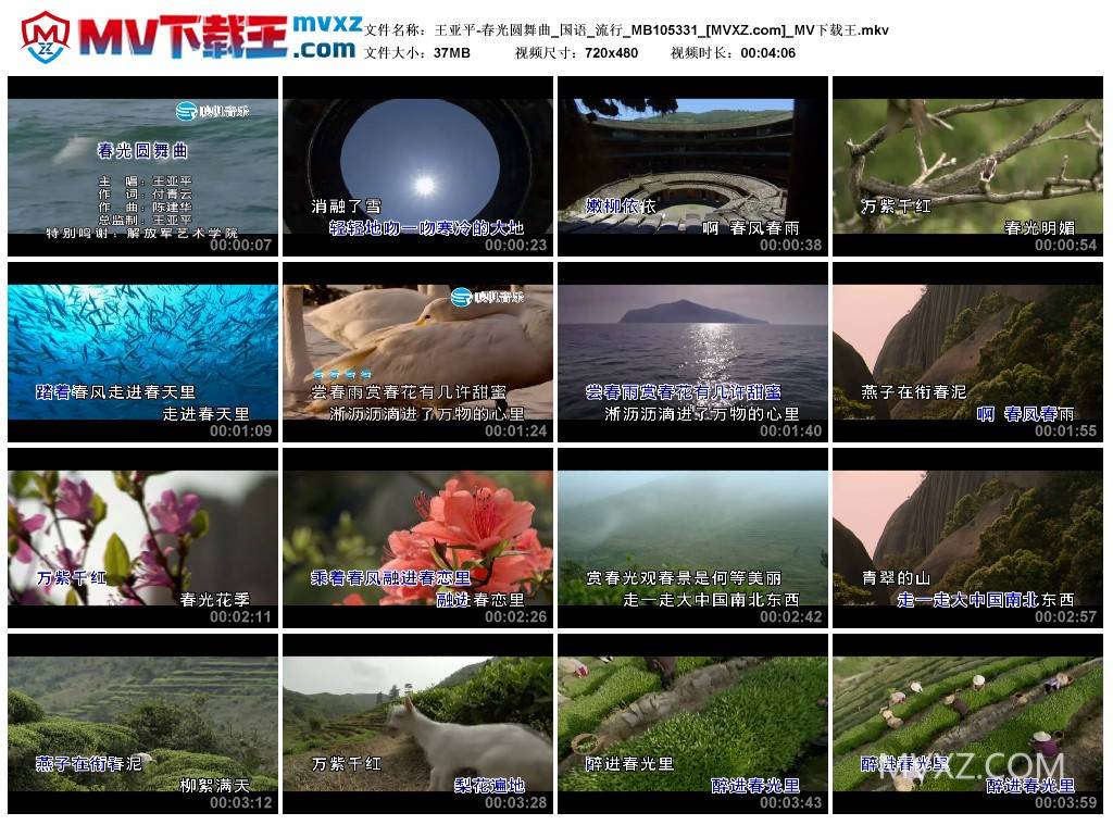 王亚平-春光圆舞曲_国语_流行_MB105331